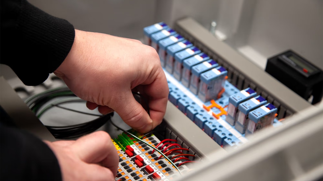 whatsapp image 2026 03 12 at 2.55.05 am